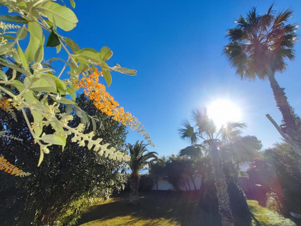Dar Gitta & Wood El Haouaria Villa Екстериор снимка